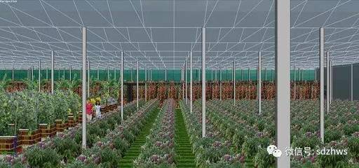 现代农业玻璃温室的设计要点与科技应用