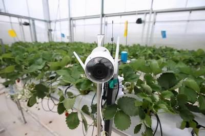 端好中国人的饭碗 信息技术领域技术开发是关键