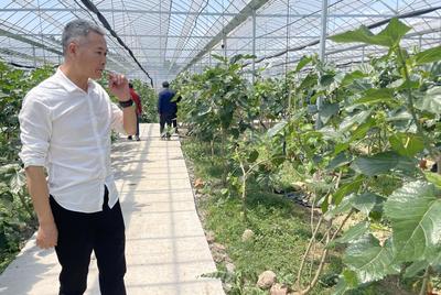 一只橘子的科技裂变——‘26赛道’上的乡村CEO系列报道之六