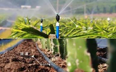 【对话创业者】广西捷佳润科技股份 用信息技术为农业插上轻松快乐的翅膀