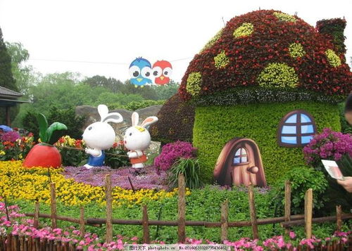 植物绿雕的制作方法与信息技术在技术开发中的应用