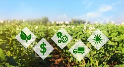 肥料价格飙升，农业科技新星美盛高增长的倒计时还有多久？