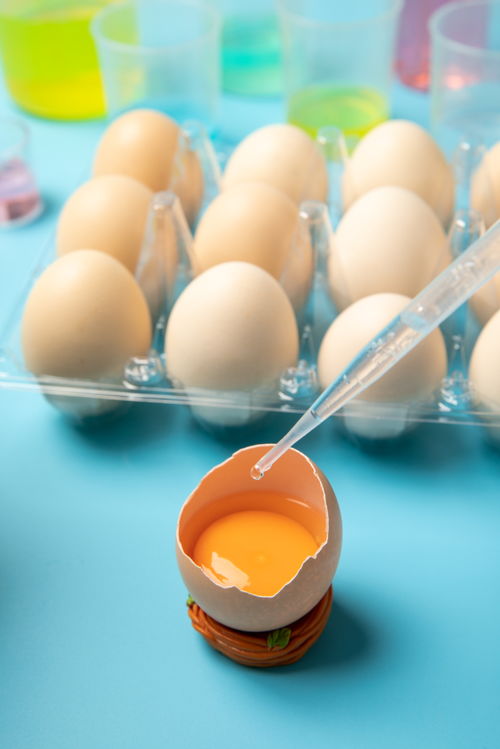 开壳鸡蛋安全生产与信息技术融合的创新路径